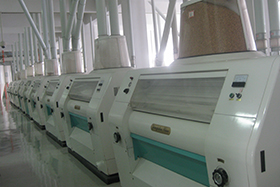 Wheat Flour Mill Project
